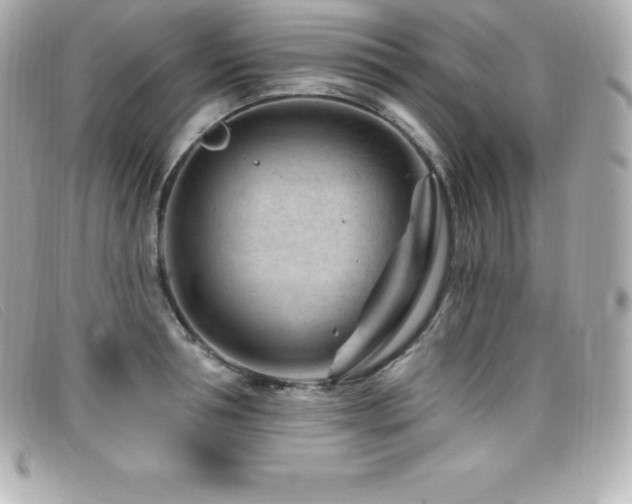 X0000099480994200805091605