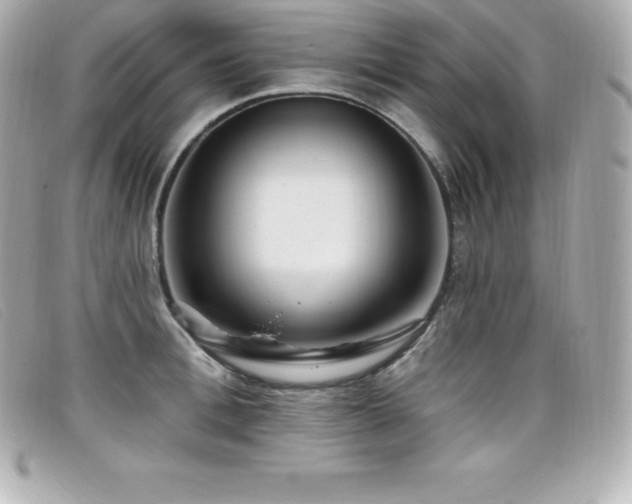 X0000099480996200805091605