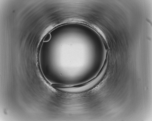 X0000099480997200805091605