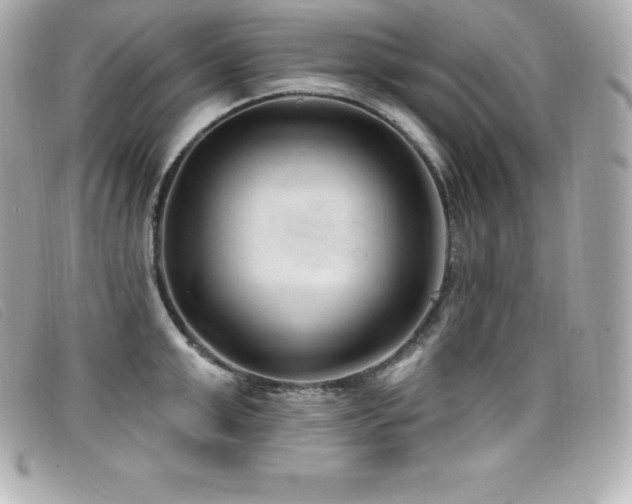 X0000099480999200805091605
