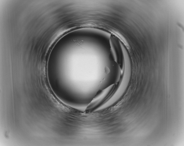 X0000099481000200805091605