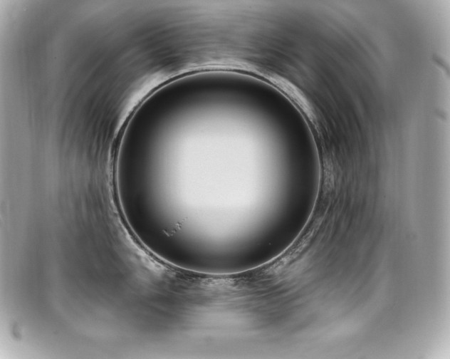 X0000099481006200805091605