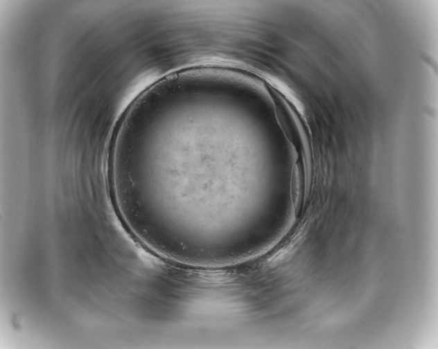 X0000099481007200805091605