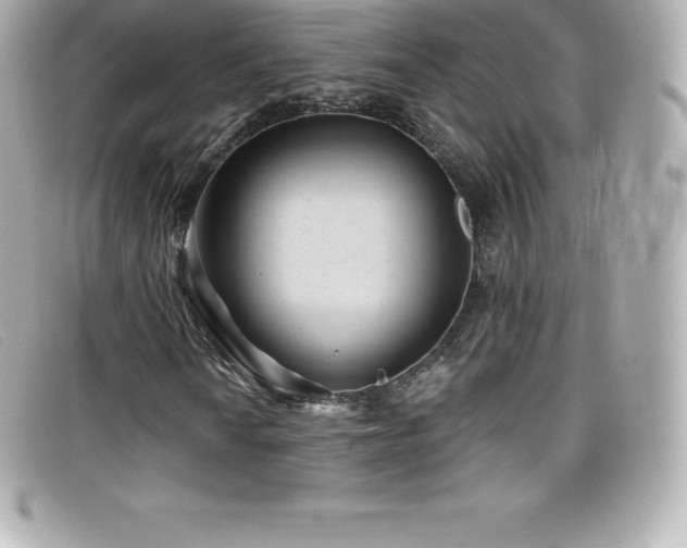 X0000099481010200805091604