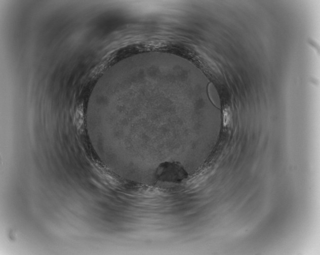 X0000099481011200805091604