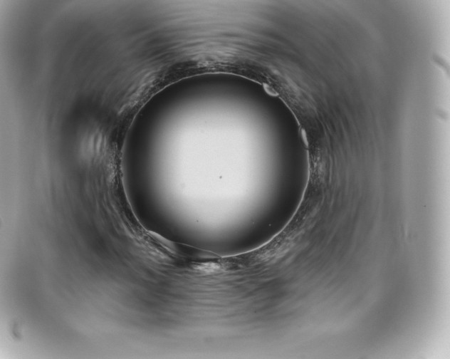X0000099481012200805091604