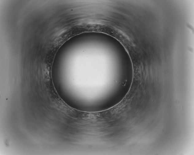 X0000099481013200805091604