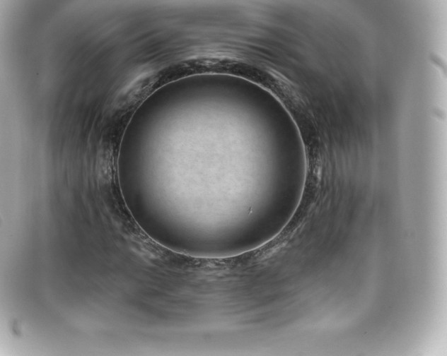 X0000099481014200805091604