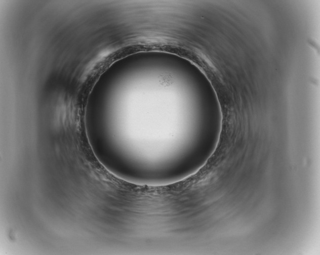 X0000099481016200805091604