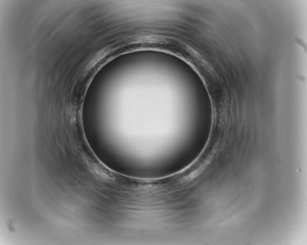 X0000099481017200805091604