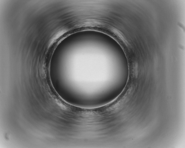 X0000099481018200805091604