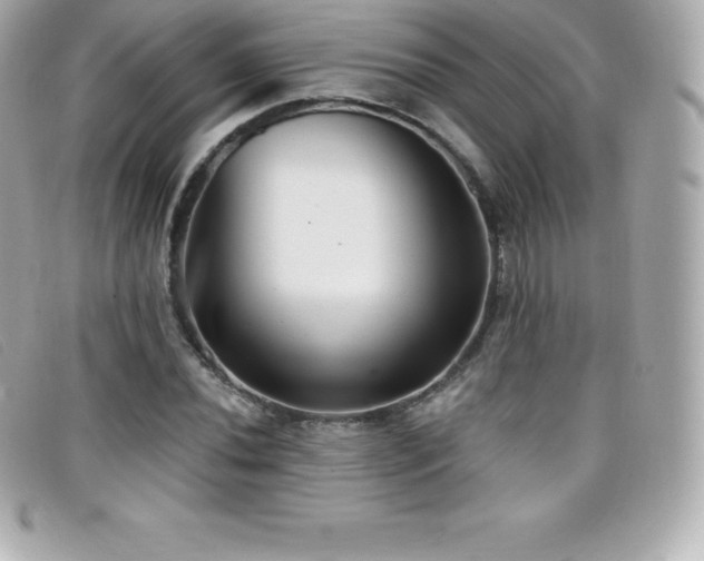 X0000099481020200805091604