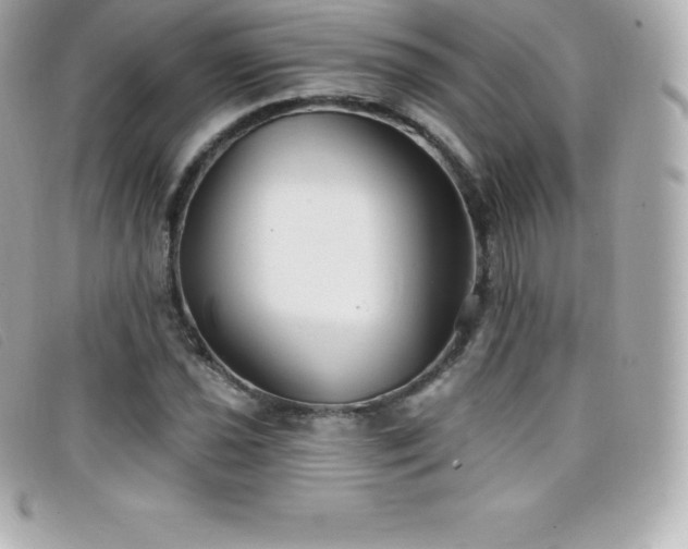 X0000099481021200805091604