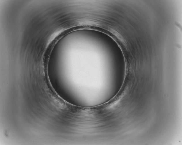 X0000099481022200805091604