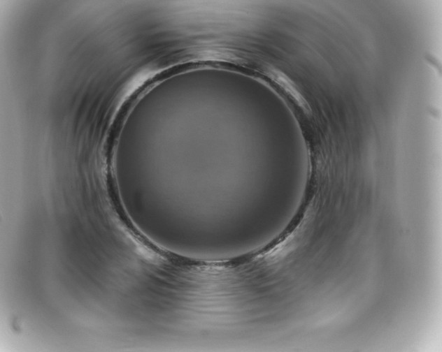 X0000099481024200805091604