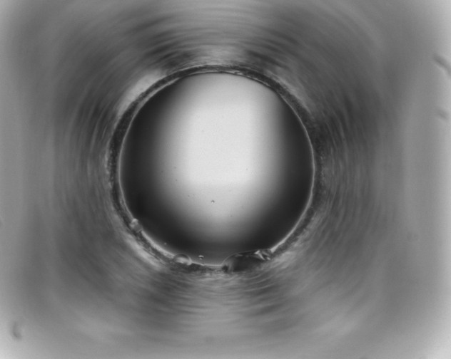 X0000099481026200805091604