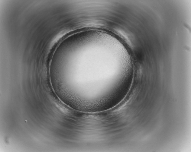X0000099481027200805091604