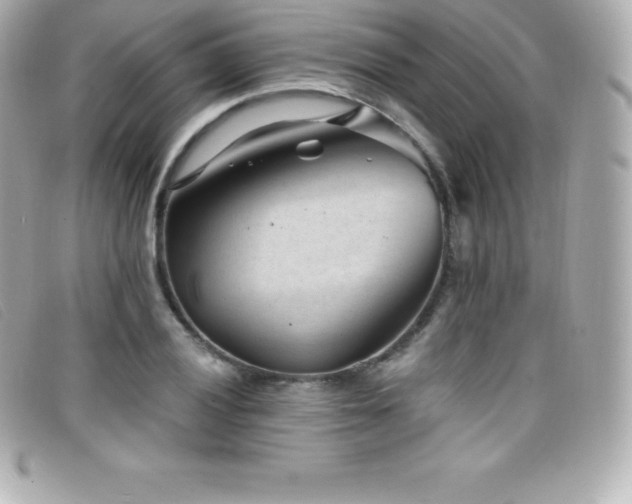 X0000099481028200805091604