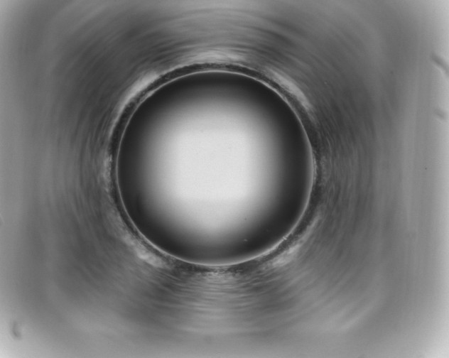 X0000099481029200805091604