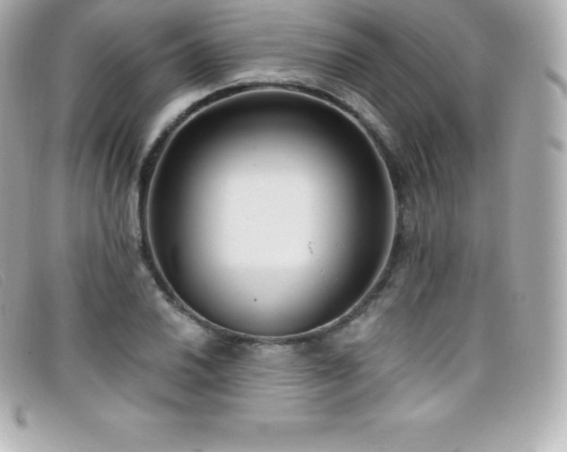 X0000099481030200805091604