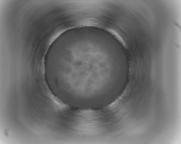 X0000099481031200805091604