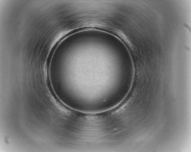 X0000099481032200805091604
