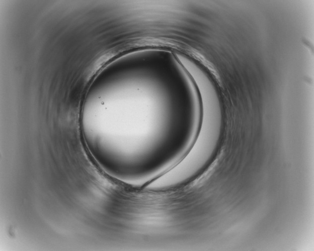 X0000099481033200805091604