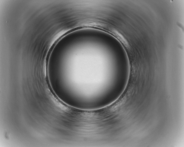 X0000099481036200805091604