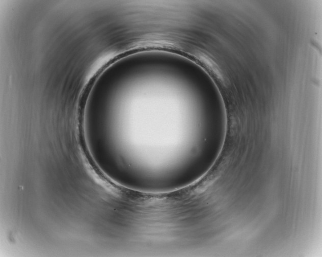 X0000099481038200805091604