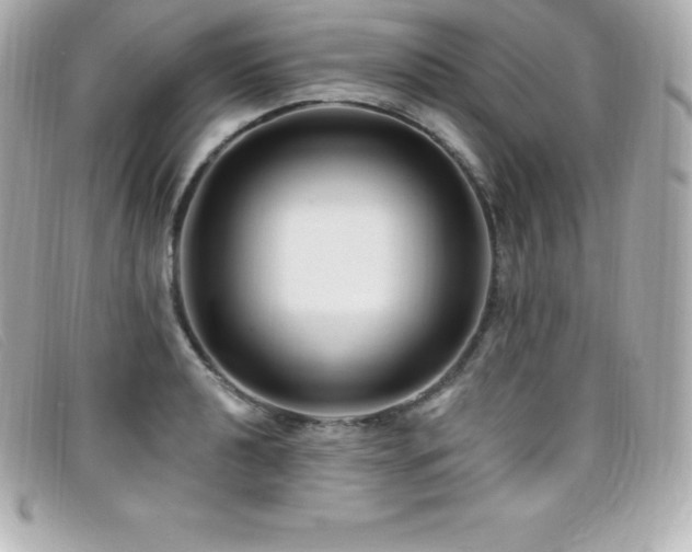X0000099481040200805091604