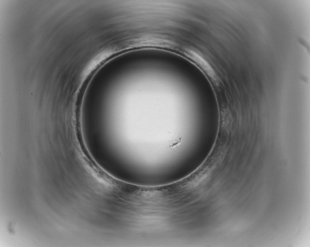 X0000099481043200805091604