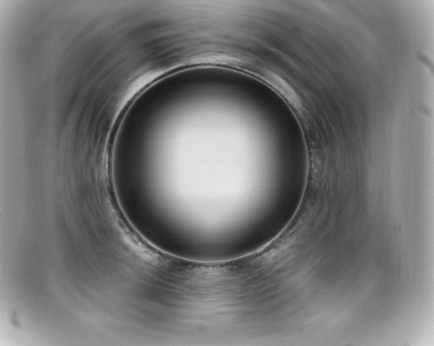 X0000099481044200805091604