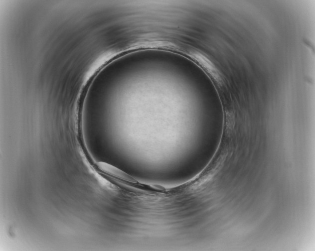 X0000099481046200805091604
