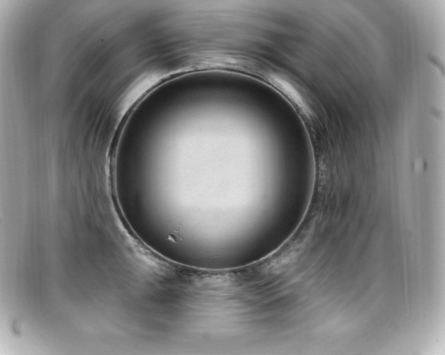 X0000099481047200805091604