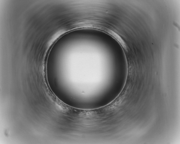 X0000099481051200805091604