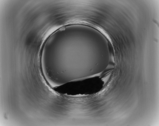 X0000099481053200805091604