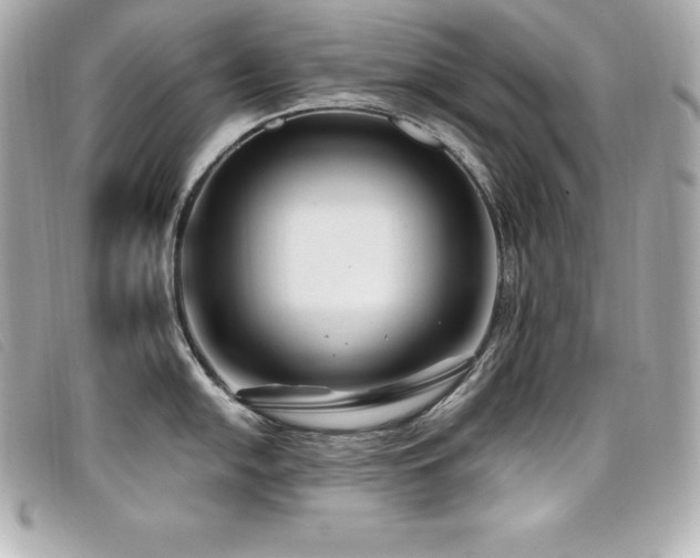X0000099481054200805091604