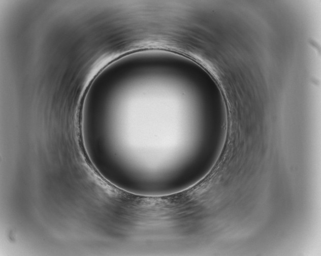 X0000099481056200805091605