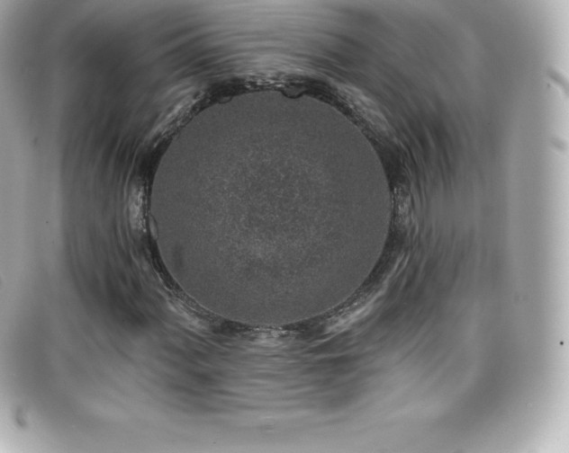 X0000099481060200805091604