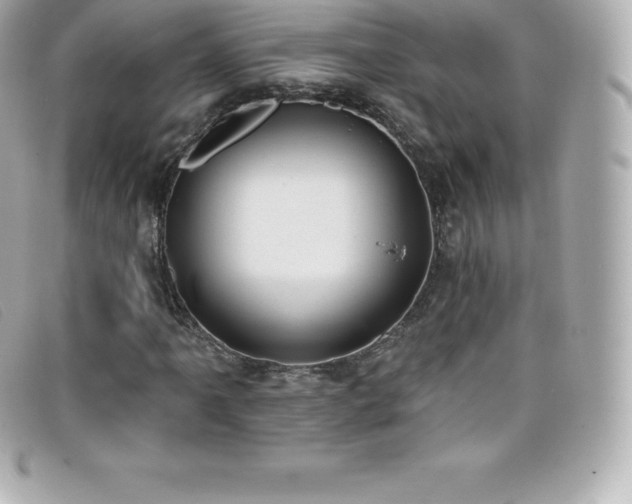 X0000099481061200805091604