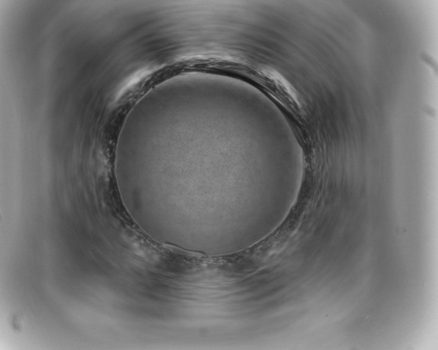 X0000099481064200805091604