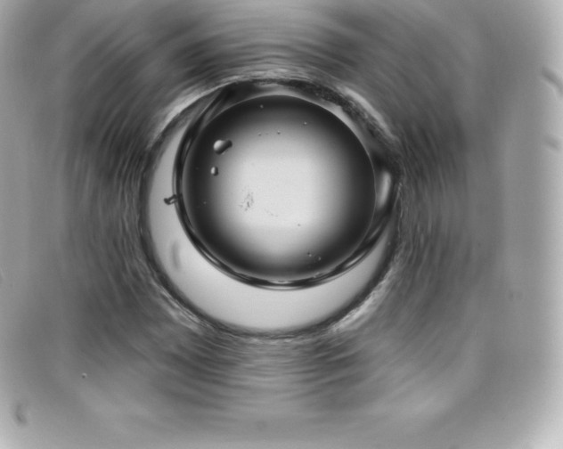 X0000099481065200805091604