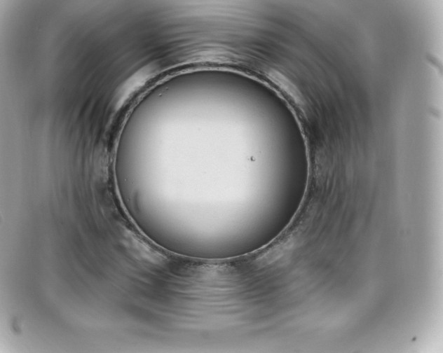 X0000099481067200805091604