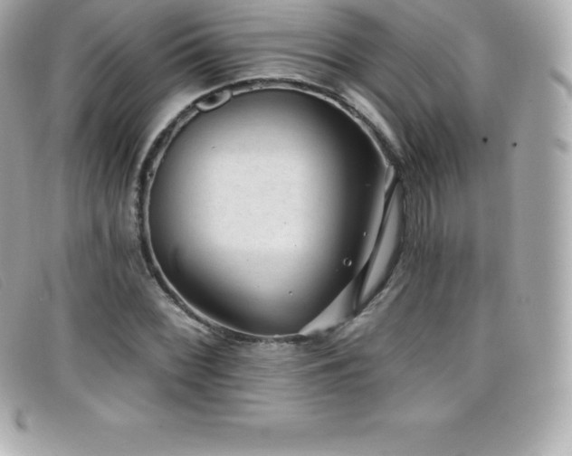 X0000099481068200805091604