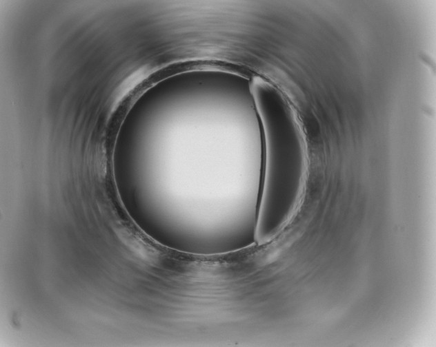 X0000099481069200805091604