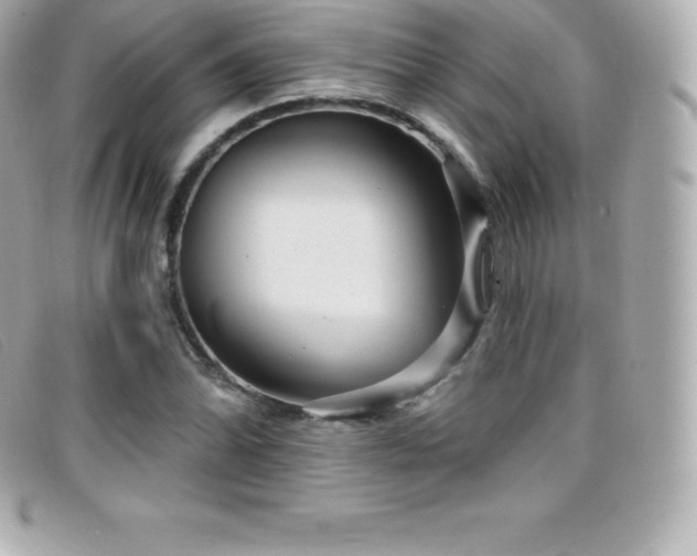 X0000099481070200805091604