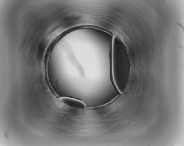 X0000099481072200805091604