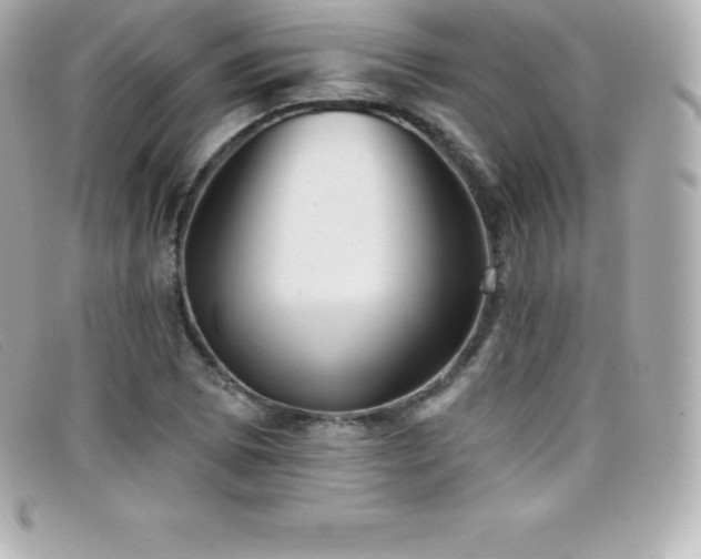 X0000099481073200805091604