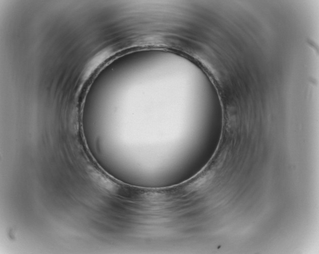X0000099481075200805091604
