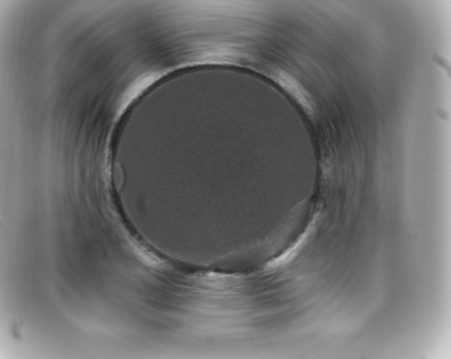 X0000099481077200805091604